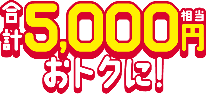
							3,000円＋2,000ポイントで合計5,000円相当おトクに！
						