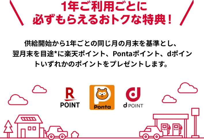 1年ご利用ごとに必ずもらえるおトクな特典！
									供給開始から1年ごとの同じ月の月末を基準とし、翌月末を目途*に楽天ポイント、Pontaポイント、dポイントいずれかのポイントをプレゼントします。